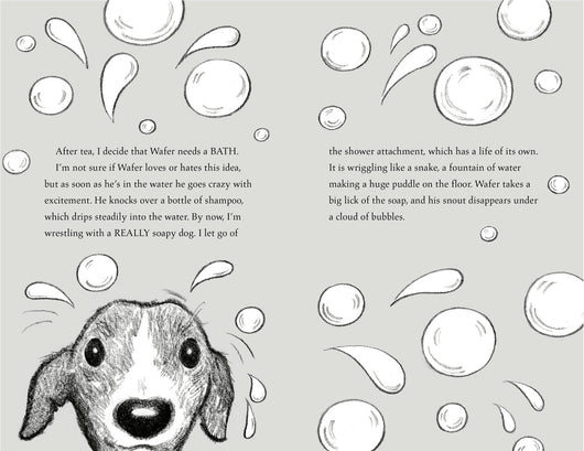 The Dog Squad - The Newshound
