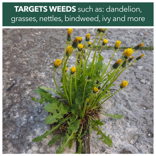Weedblast Fast Acting Weedkiller 5 Litre with 5 Litre Garden Sprayer