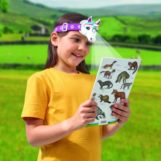Unicorn Head Torch