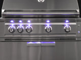 Outdoor Kitchen Stainless Steel Platinum Grill