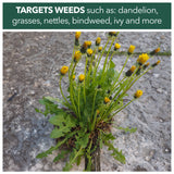 Weedblast Fast Acting Weedkiller 5 Litre with 5 Litre Garden Sprayer