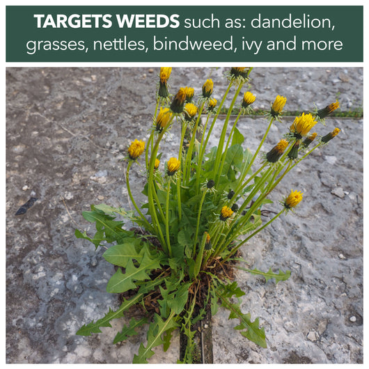 Weedblast RootKill Glyphosate Weedkiller 2 x 2.5 Litre, Ready to use with Long Hose Trigger