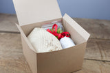 Holiday Gift Boxed: Vibrant Terrarium with Tillandsia Ionantha Air Plants
